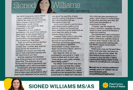Petryal gwyrdd tywyll gyda llun o erthygl Sioned Williams fel y mae'n ymddangos yn y South Wales Evening Post. Llun pen o Sioned Williams, gyda'i henw, rhanbarth a logos Plaid Cymru a'r Senedd ar y gwaelod.