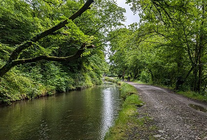 Camlas gyda llwybr yn rhedeg ar ei hyd o dan rywfaint o orchudd coed