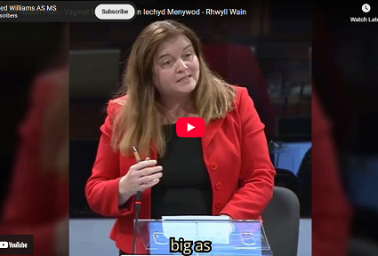 Sioned Williams MS raising concerns about vaginal mesh treatment during First Minister’s Questions in the Senedd.