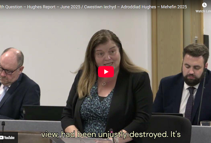 Sioned Williams MS speaking in a Senedd committee room during a discussion on the Hughes Report, June 2025.
