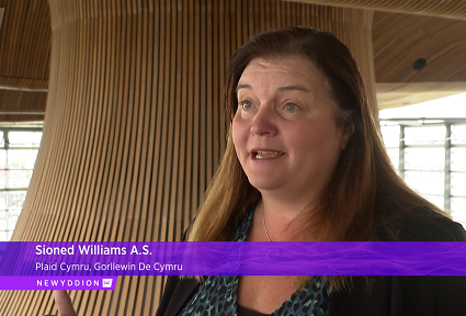 Sioned yn y Senedd yn siarad i'r camera