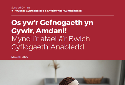 Tudalen glawr adroddiad gan Bwyllgor Cydraddoldeb a Chyfiawnder Cymdeithasol Senedd Cymru o'r enw ‘Os yw’r Gefnogaeth yn Gywir, Amdani! Mynd i’r afael â’r Bwlch Cyflogaeth Anabledd’. Dyddiedig Mawrth 2025. Yn y cefndir, mae delwedd wedi'i niwlo o berson yn eistedd wrth ddesg gyda phlanhigyn a chlustog ar soffa
