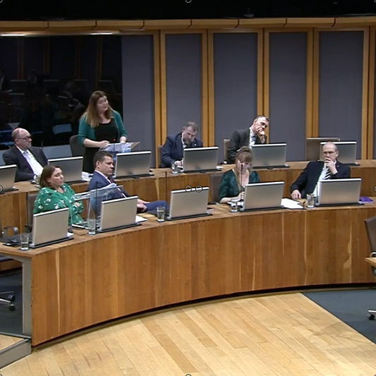Sioned speaking in the chamber surrounded by other MSs
