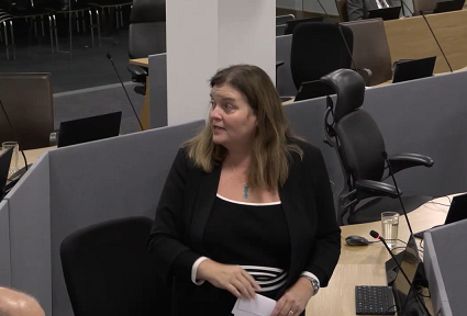 Sioned Williams yn y Siambr Senedd