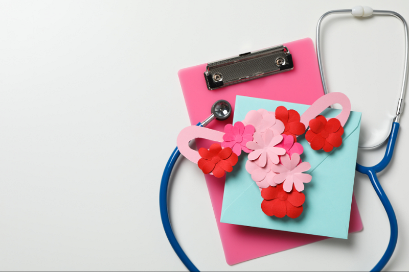 Pink paper flowers in the shape of a vagina on top of a blue stethoscope and pink clipboard.